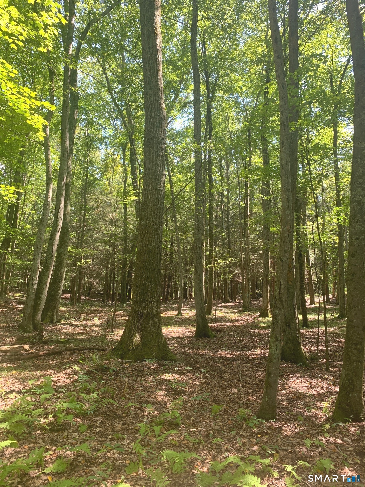 Lot 1 West Chalybes Road