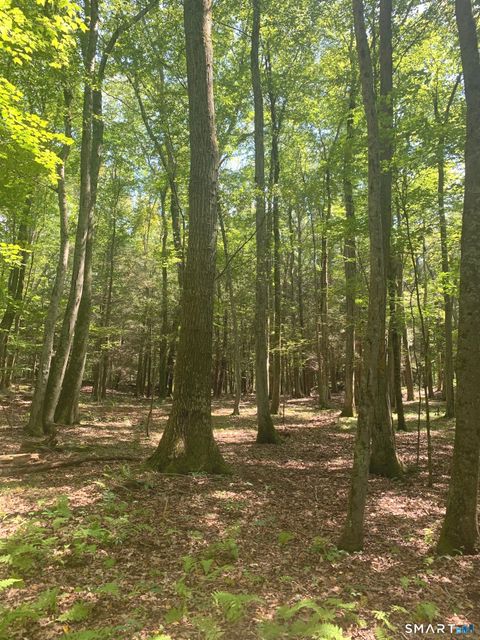 Tiny photo for Lot 1 W Chalybes Road, Roxbury, CT 06783 (MLS # 24169428)