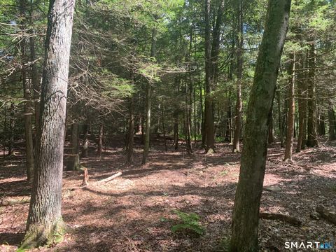 Photo of Lot 1 W Chalybes Road, Roxbury, CT 06783 (MLS # 24169428)