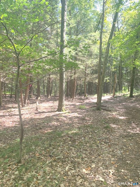 Tiny photo for Lot 1 W Chalybes Road, Roxbury, CT 06783 (MLS # 24169428)