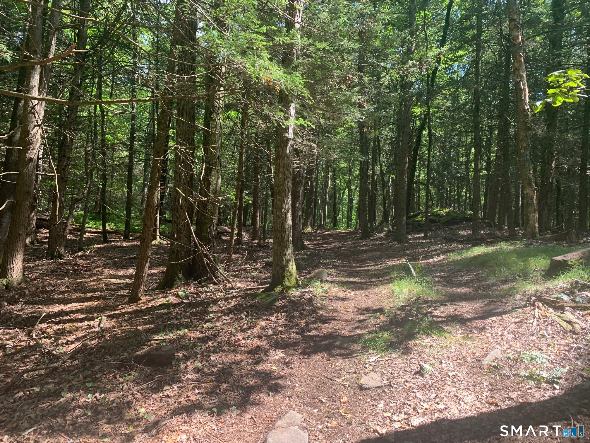 Lot 1 West Chalybes Road