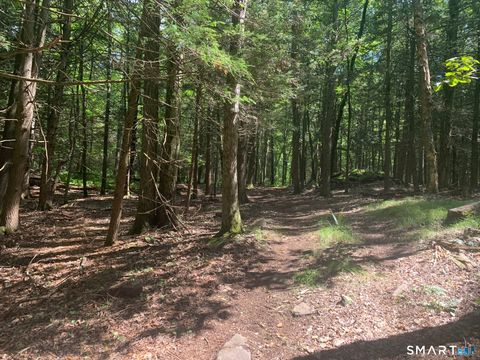 Tiny photo for Lot 1 W Chalybes Road, Roxbury, CT 06783 (MLS # 24169428)