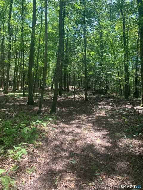 Tiny photo for Lot 1 W Chalybes Road, Roxbury, CT 06783 (MLS # 24169428)
