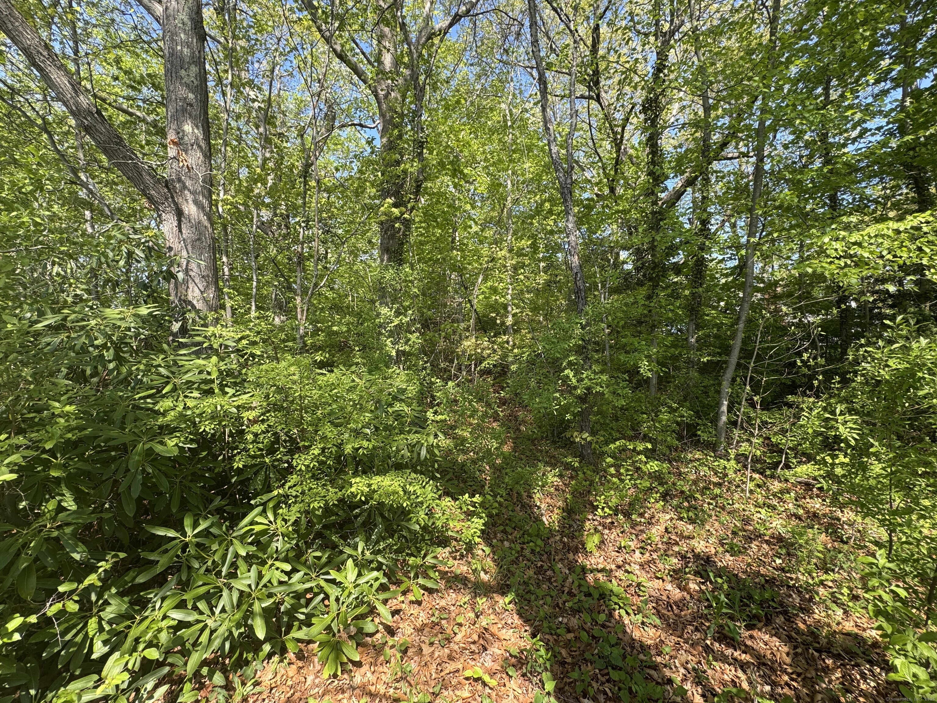 472 Strong Street, East Haven, Connecticut image 40