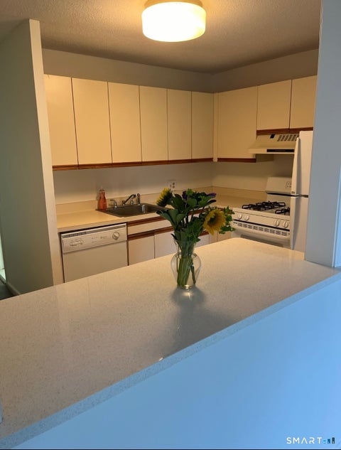 Tiny photo for 125 Florence Road #1A, Branford, CT 06405 (MLS # 24216645)