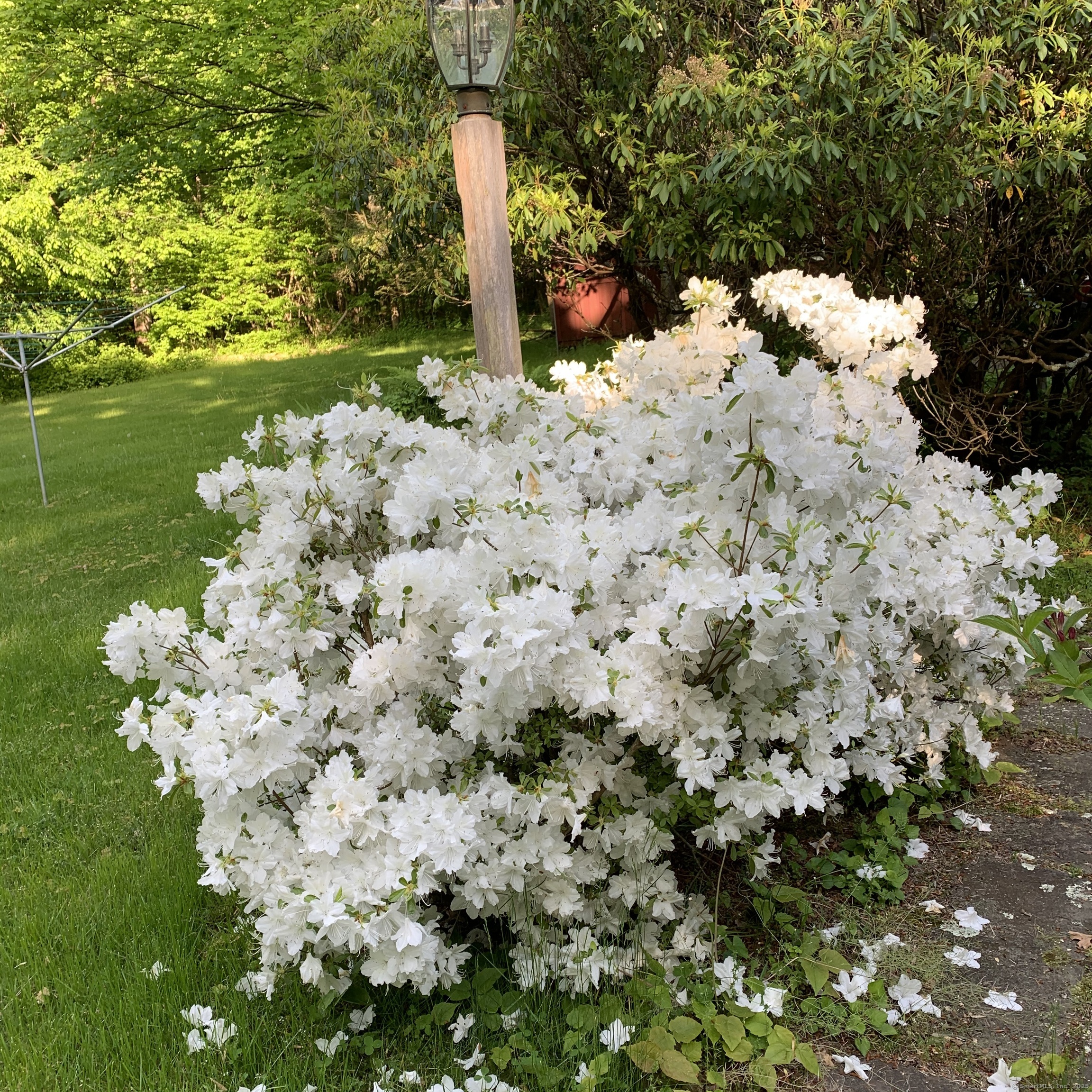 1086 Durham Road, Madison, Connecticut image 32