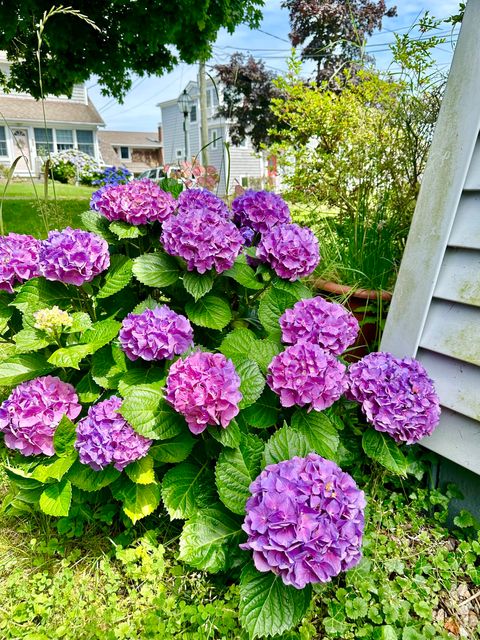 A home in Stonington