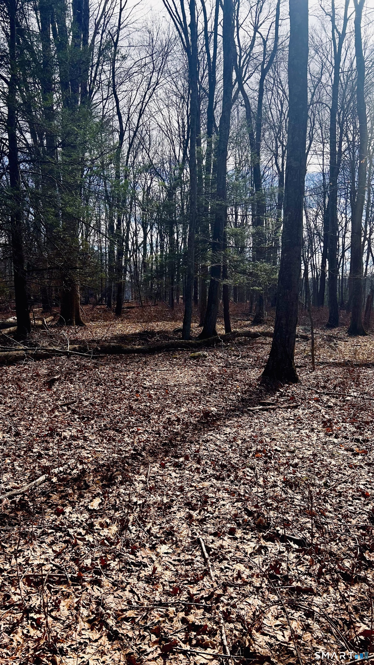 21 Wicks Manor Drive