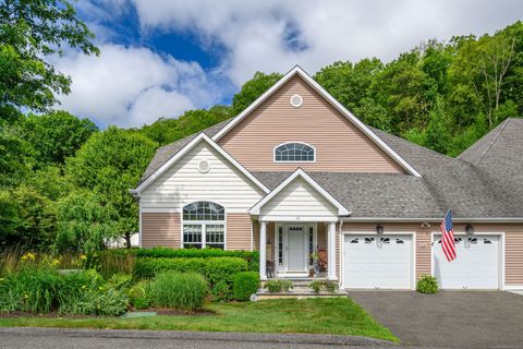 10 Harmony Trail 10 New Milford CT 06776