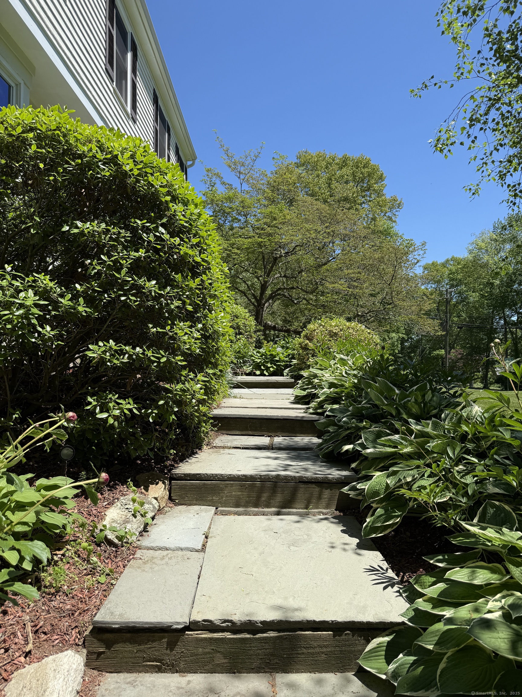 41 Jeremiah Road