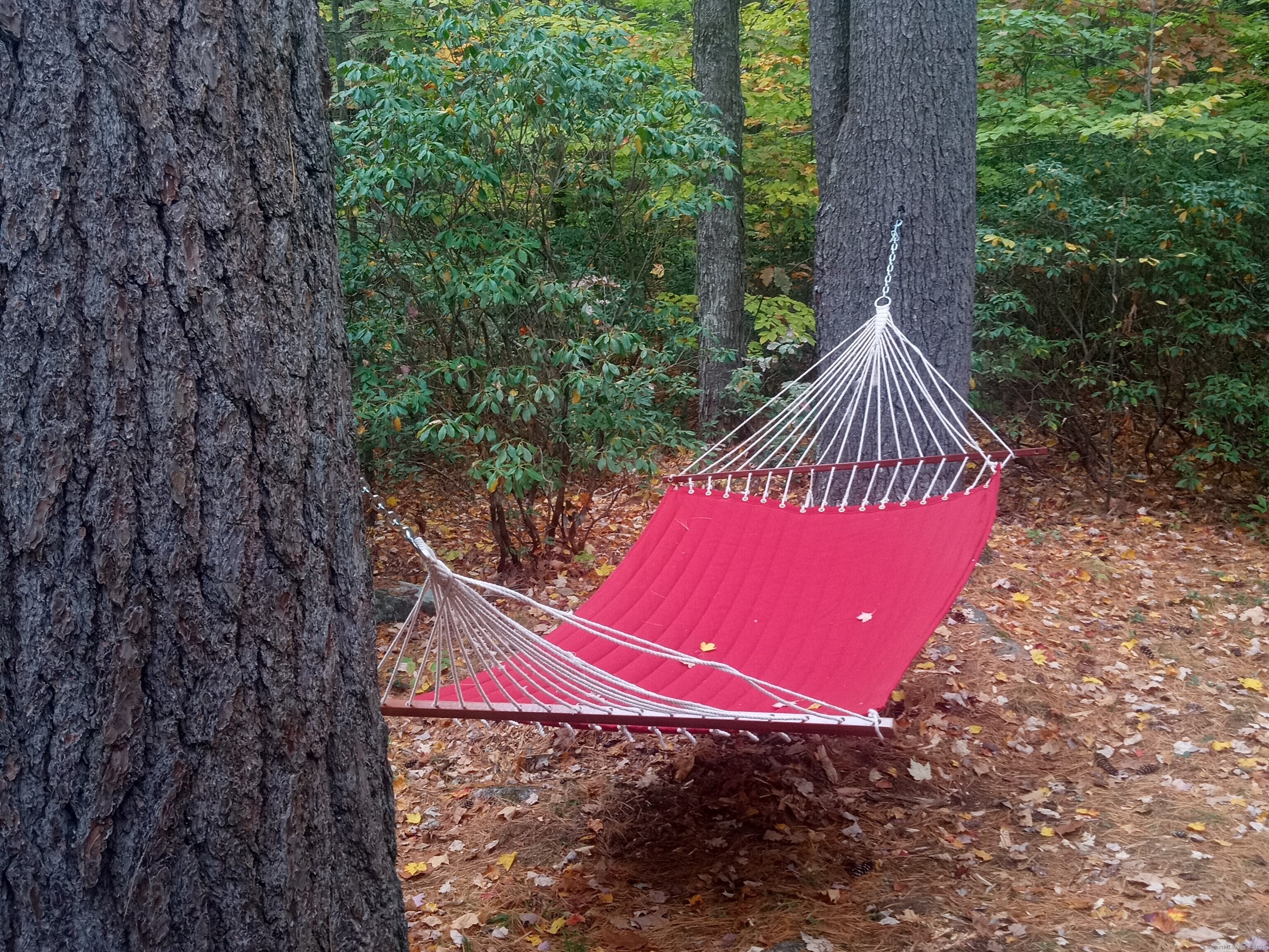 Hartland, Connecticut 06091, United States, 2 Bedrooms Bedrooms, ,1 BathroomBathrooms,Residential,Active,179981