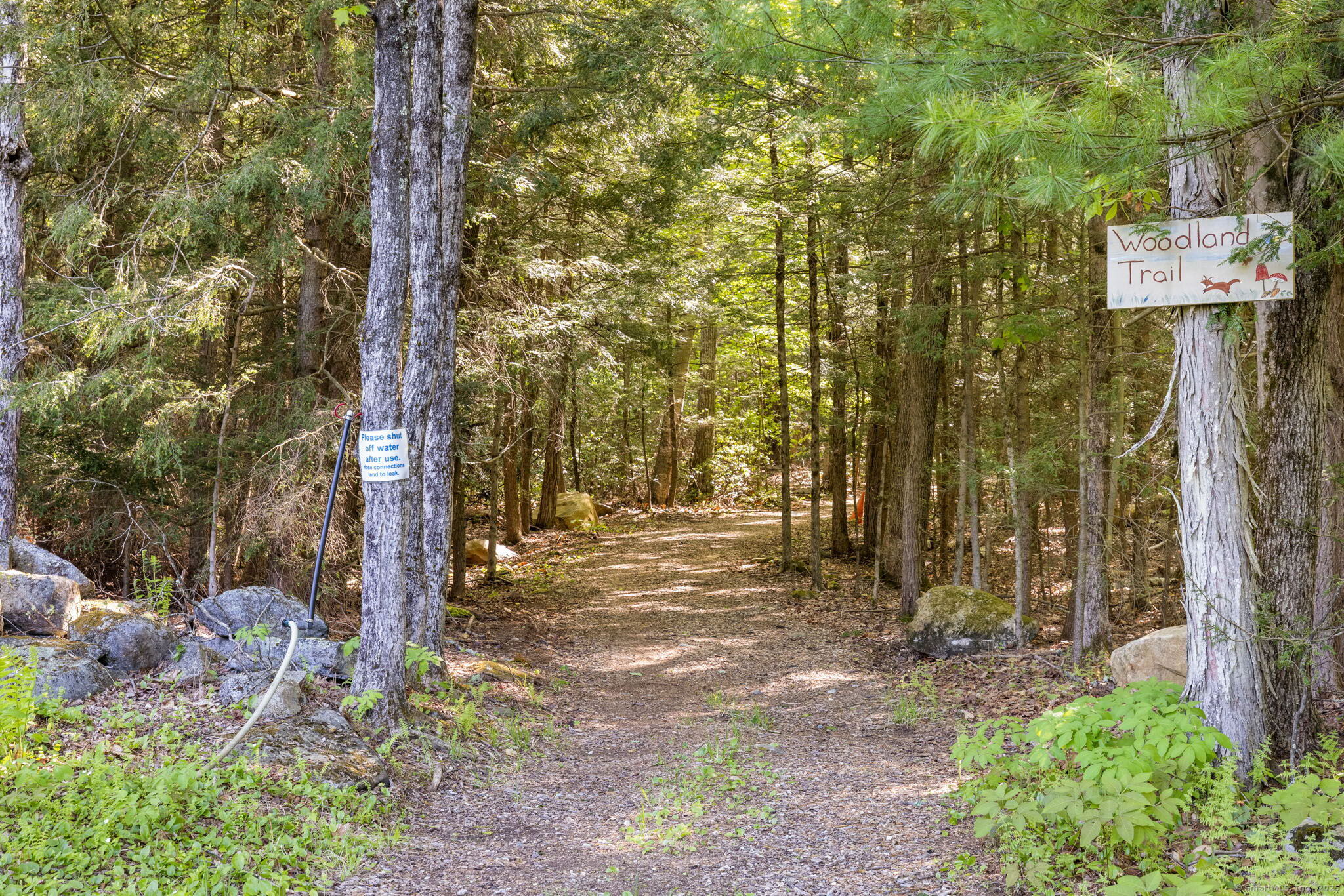 Hartland, Connecticut 06091, United States, 2 Bedrooms Bedrooms, ,1 BathroomBathrooms,Residential,Active,179981