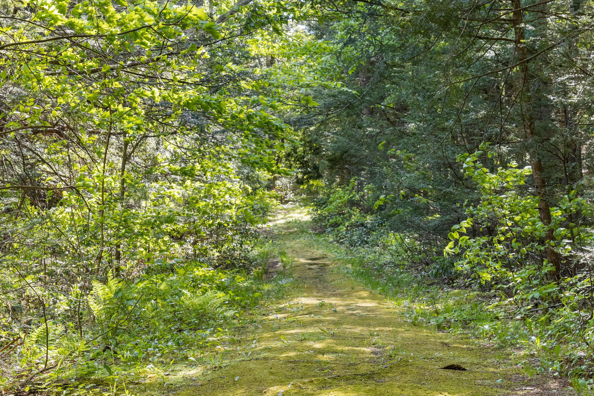 Hartland, Connecticut 06091, United States, 2 Bedrooms Bedrooms, ,1 BathroomBathrooms,Residential,Active,179981