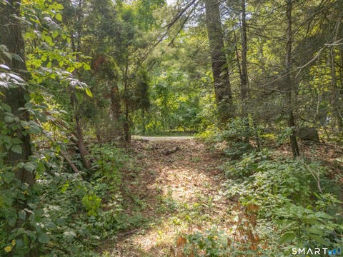 Tiny photo for 556 Simsbury Road, Bloomfield, CT 06002 (MLS # 24199915)