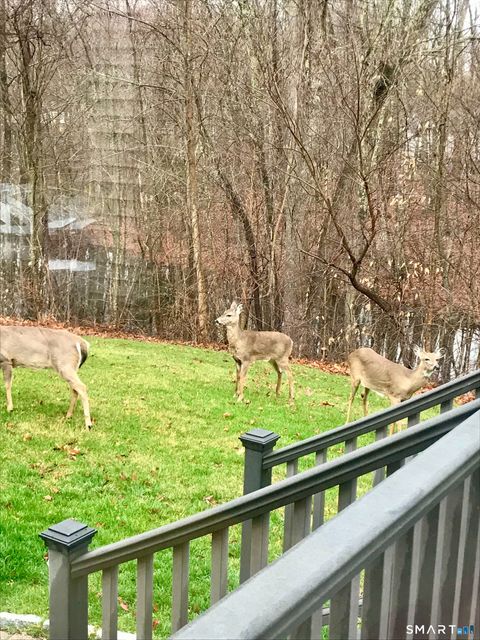 Tiny photo for 29 Whitney Road, Columbia, CT 06237 (MLS # 24155588)