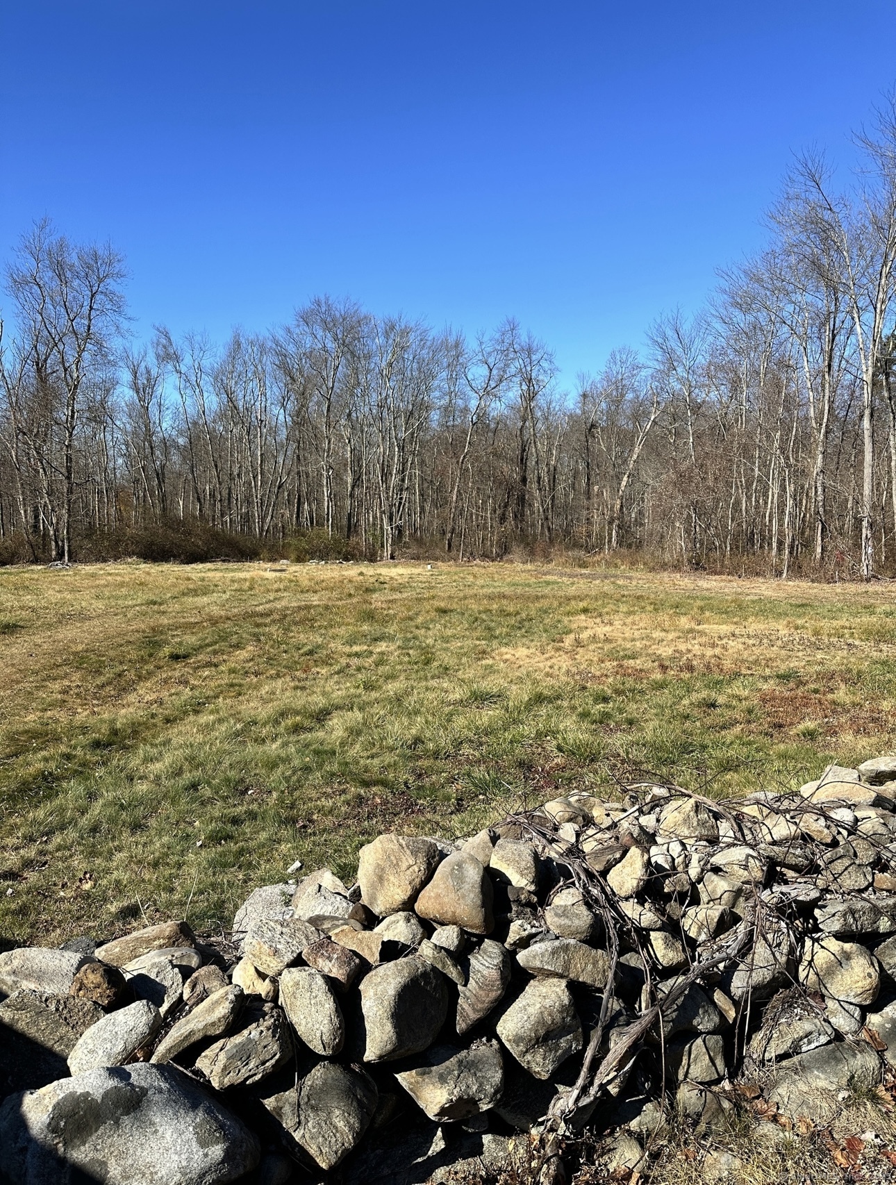 629 Bethmour Road, Bethany, Connecticut image 4