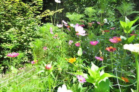 Tiny photo for 5 Ridge Road, Burlington, CT 06013 (MLS # 24121724)