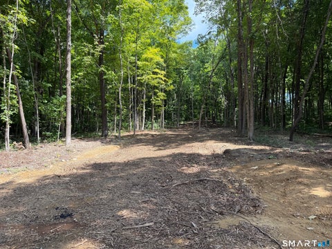 Tiny photo for (3 Lots) Church Street, Hebron, CT 06231 (MLS # 24199429)