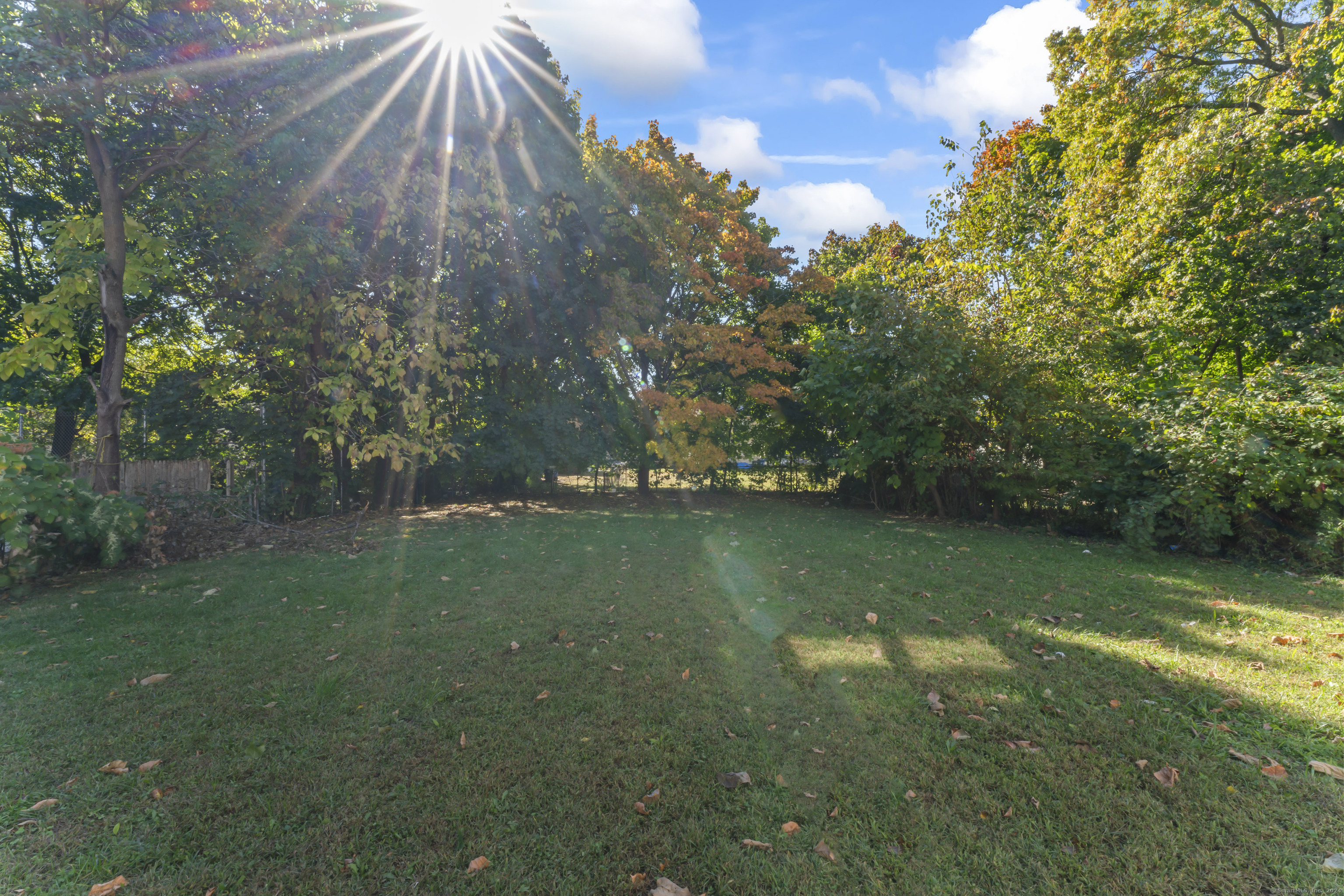 20 Ivy Street, New Haven, Connecticut image 22