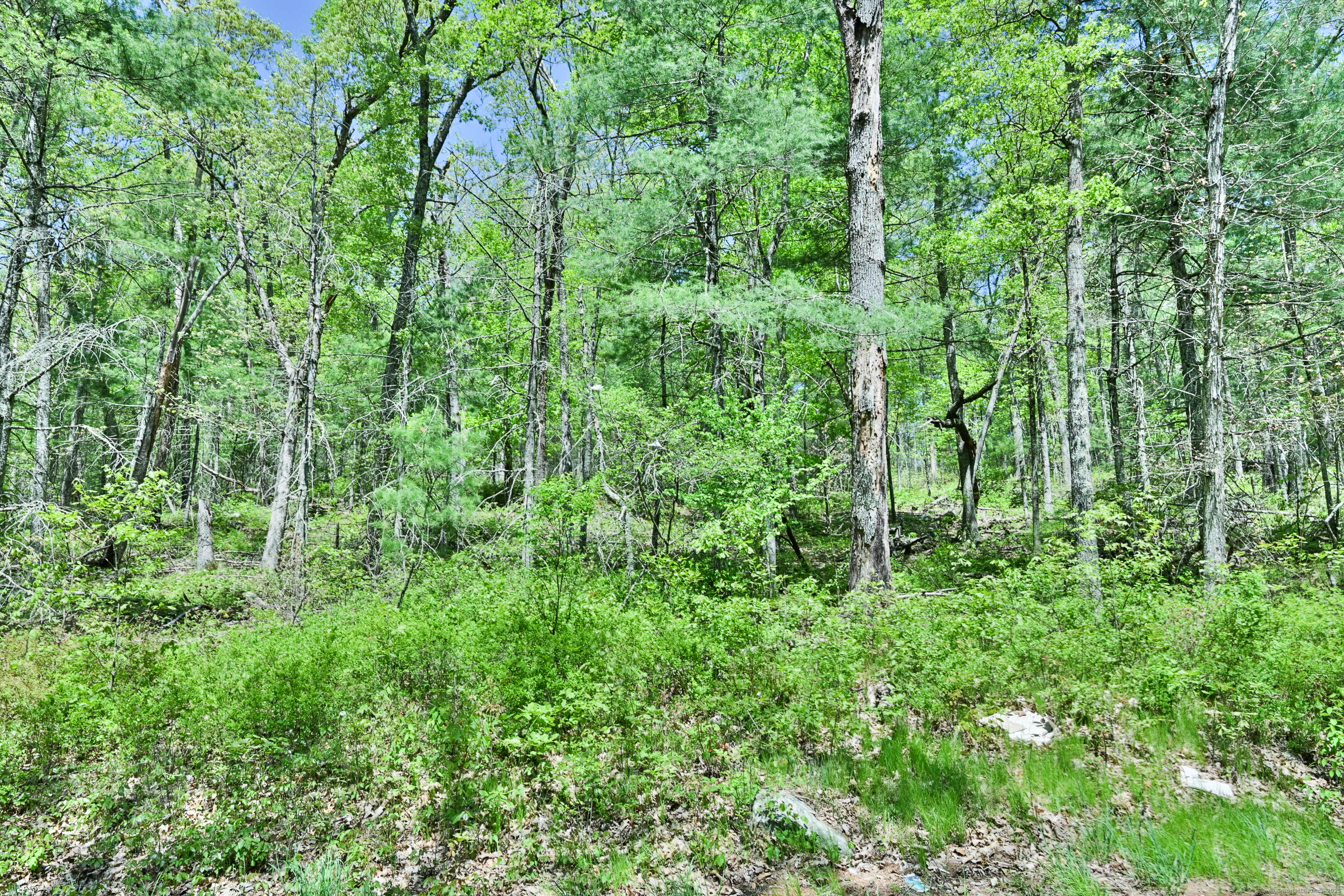 634 Parcel B 5 Mile River Road