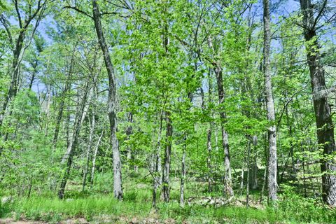 634 Parcel B 5 Mile River Road Putnam CT 06260
