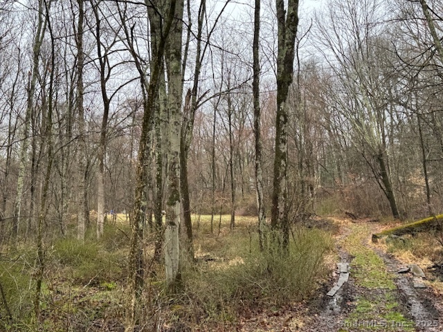 95 Curt Smith Road, Southbury, Connecticut image 28