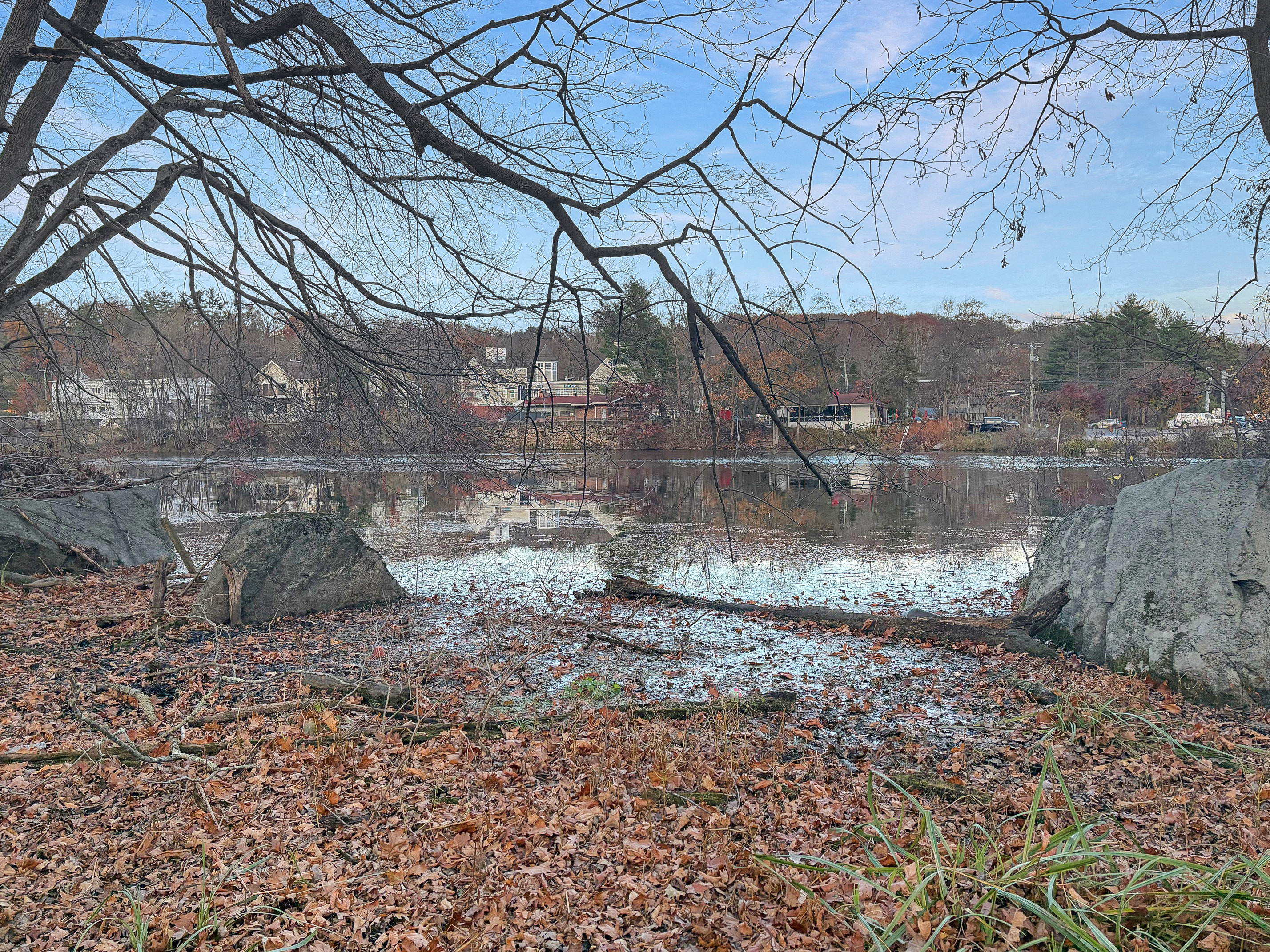 Stamford, Connecticut 06903, United States, 5 Bedrooms Bedrooms, ,3 BathroomsBathrooms,Residential,Active,246725