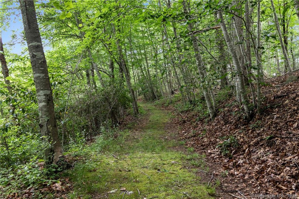 221 Clark Hill Road, East Haddam, Connecticut image 32