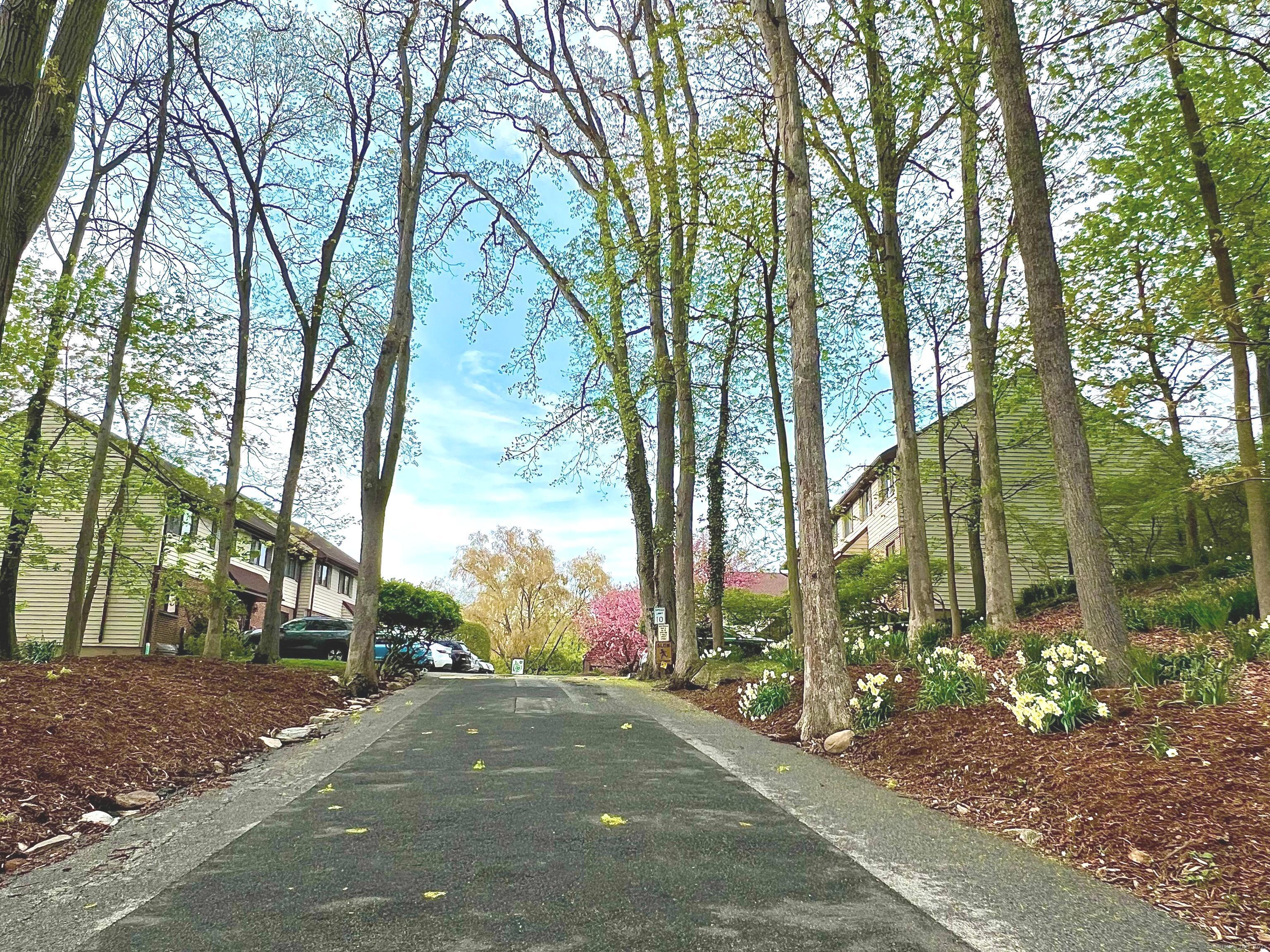 202 Soundview Avenue #26, Stamford, Connecticut image 32