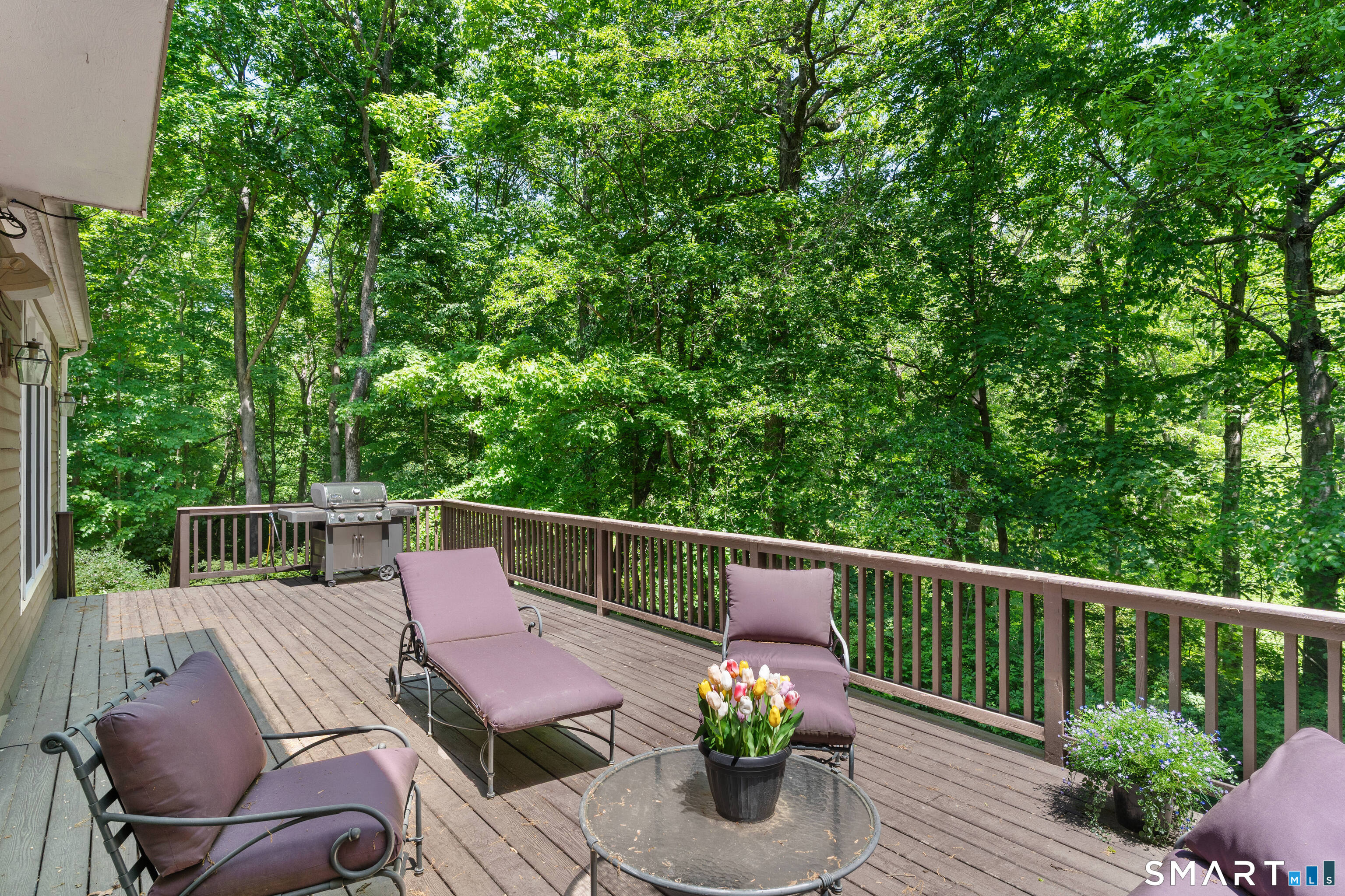 350 Chestnut Hill Road
