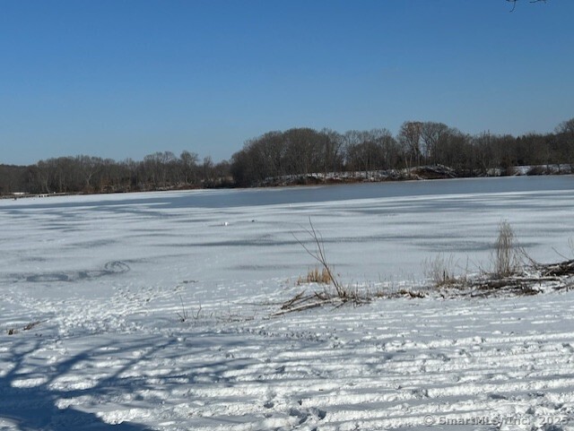 Carey Avenue, Meriden, Connecticut image 4