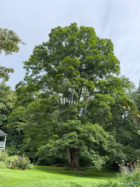 Tiny photo for 3 Blackman Road, Ridgefield, CT 06877 (MLS # 24207089)