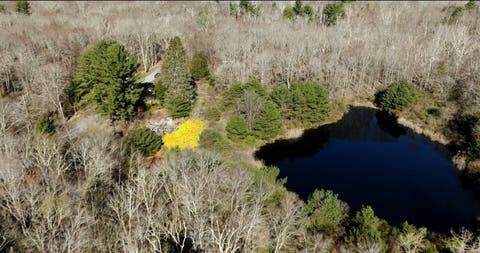 Featured picture for the property 24013102