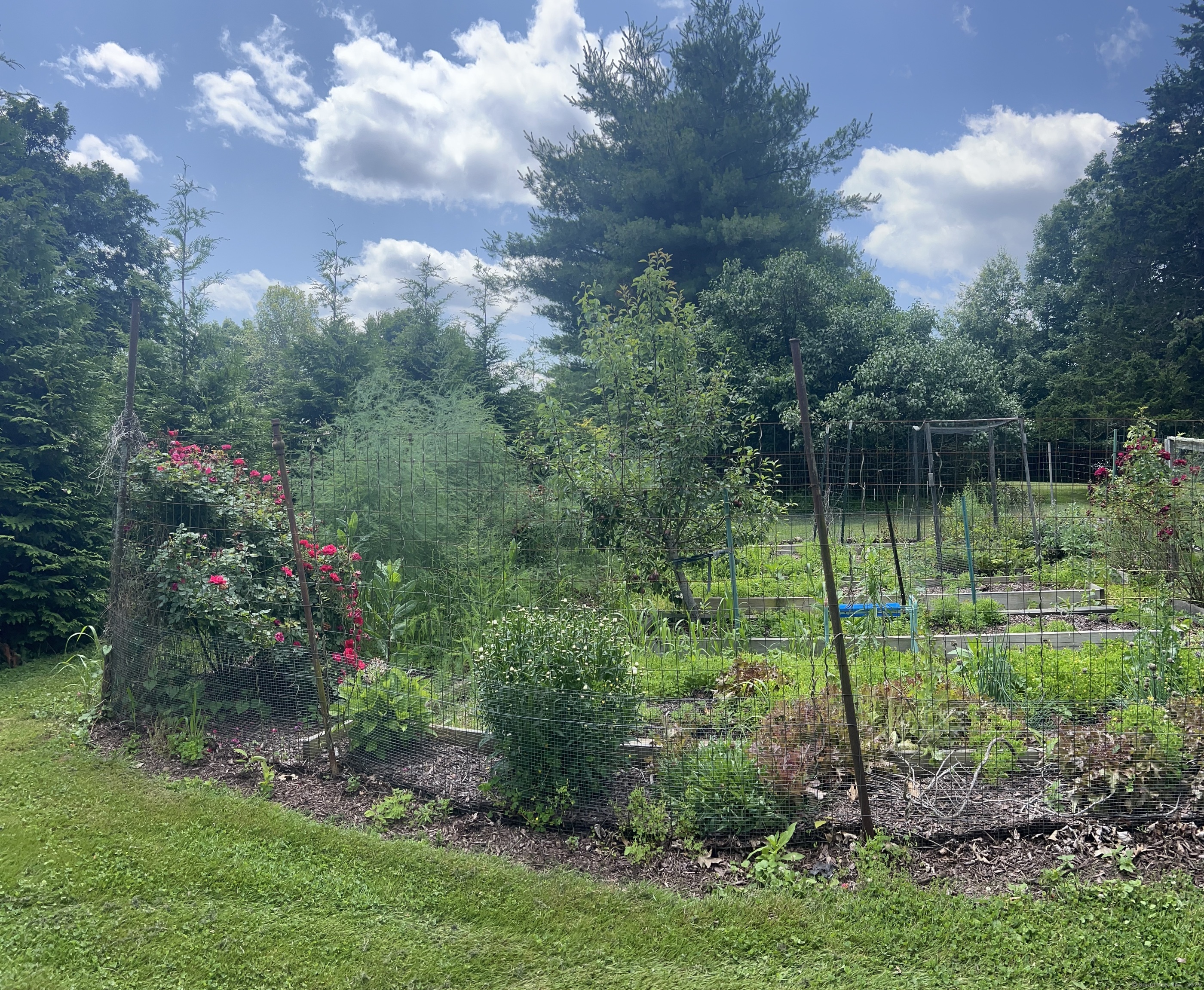 185 Chimney Hill Road