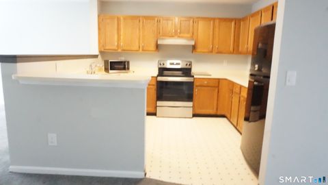 Tiny photo for 234 Willow Springs #234, New Milford, CT 06776 (MLS # 24164543)