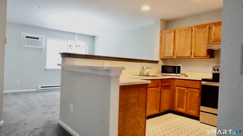 Tiny photo for 234 Willow Springs #234, New Milford, CT 06776 (MLS # 24164543)