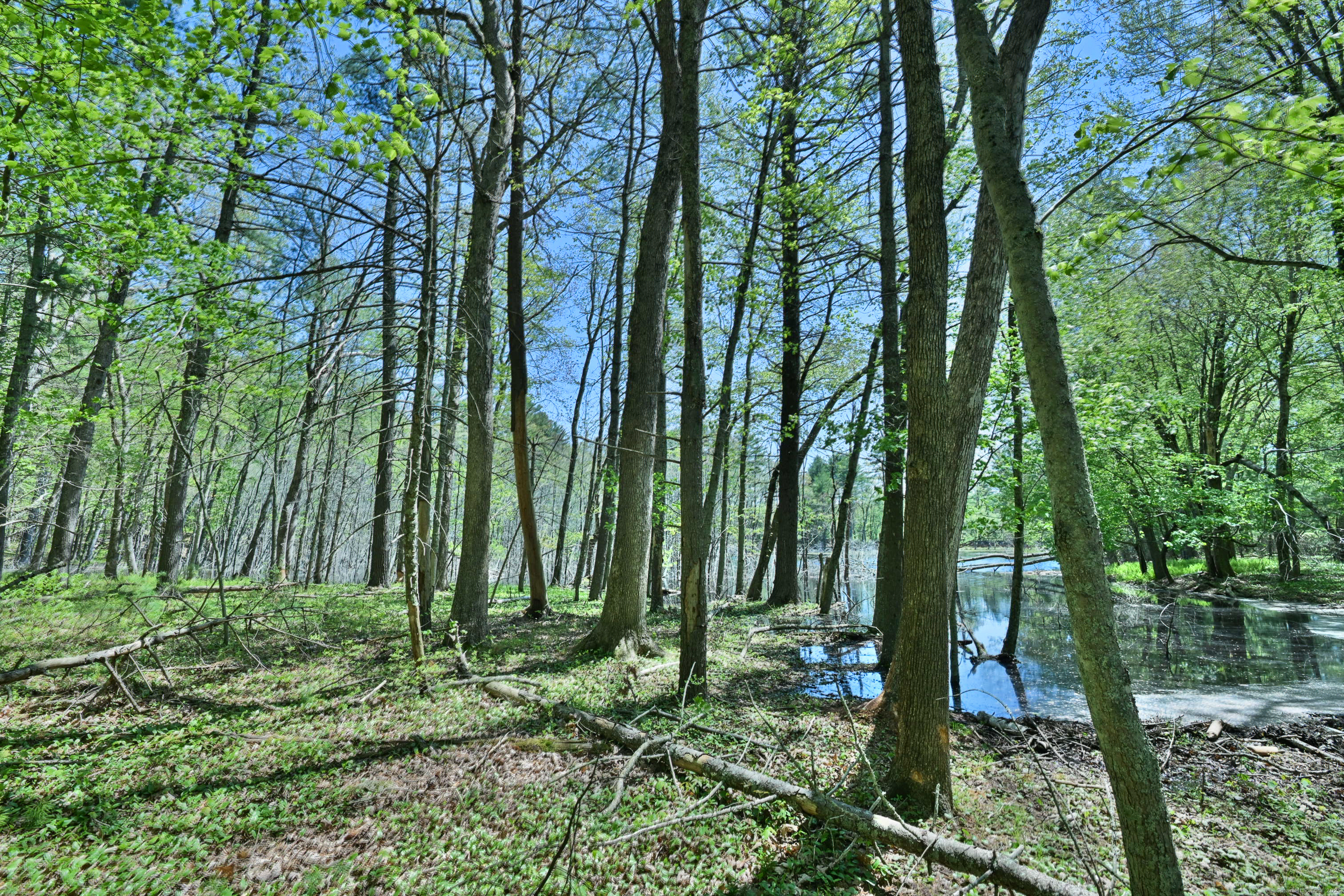 634 Parcel A 5 Mile River Road