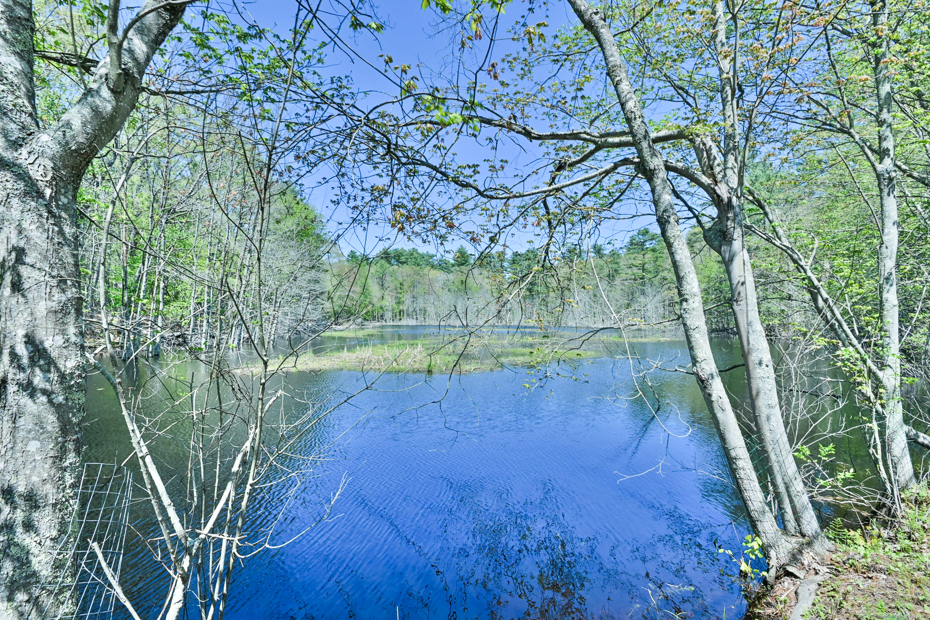 634 Parcel A 5 Mile River Road