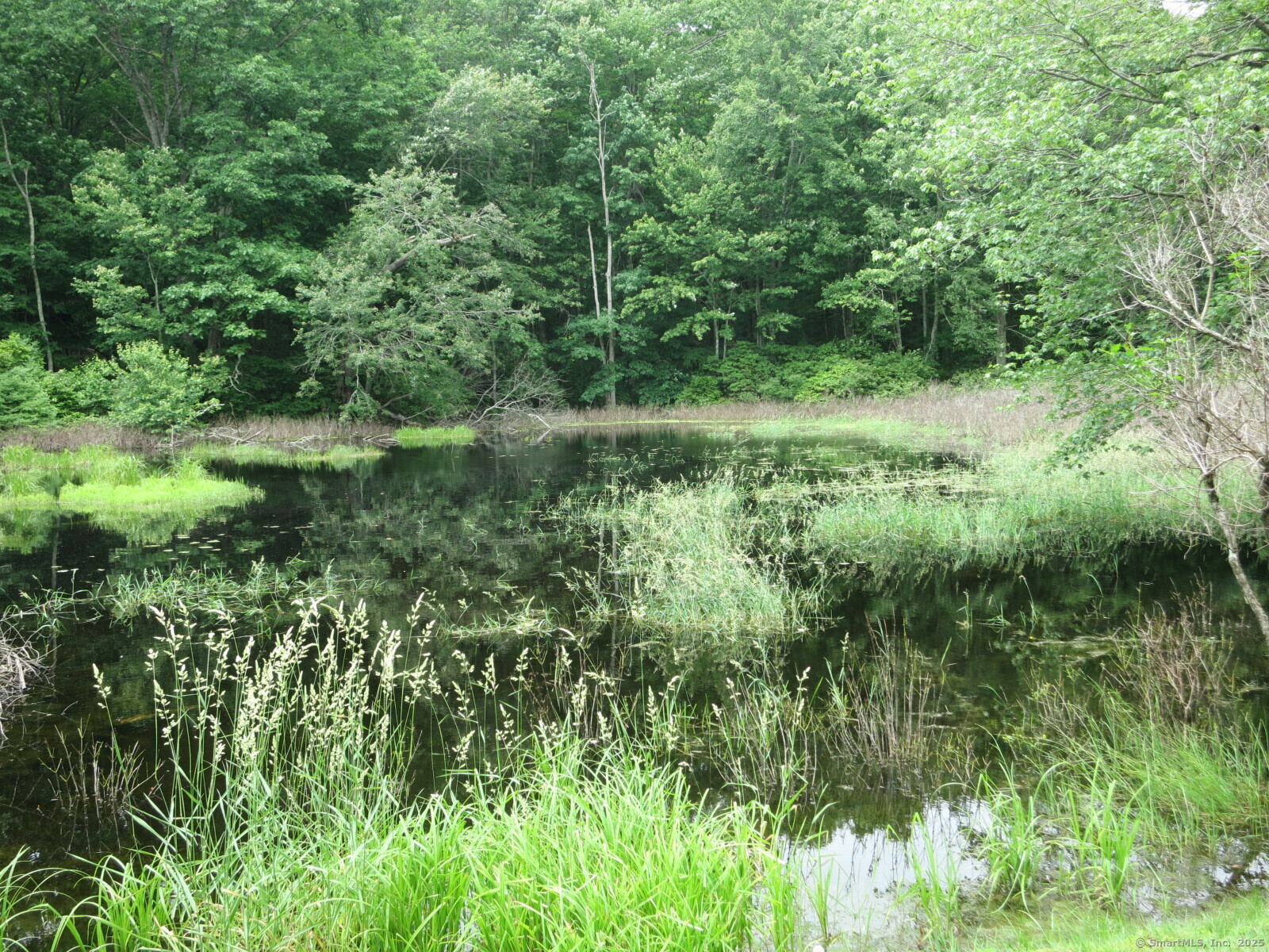 21 Lebanon Road