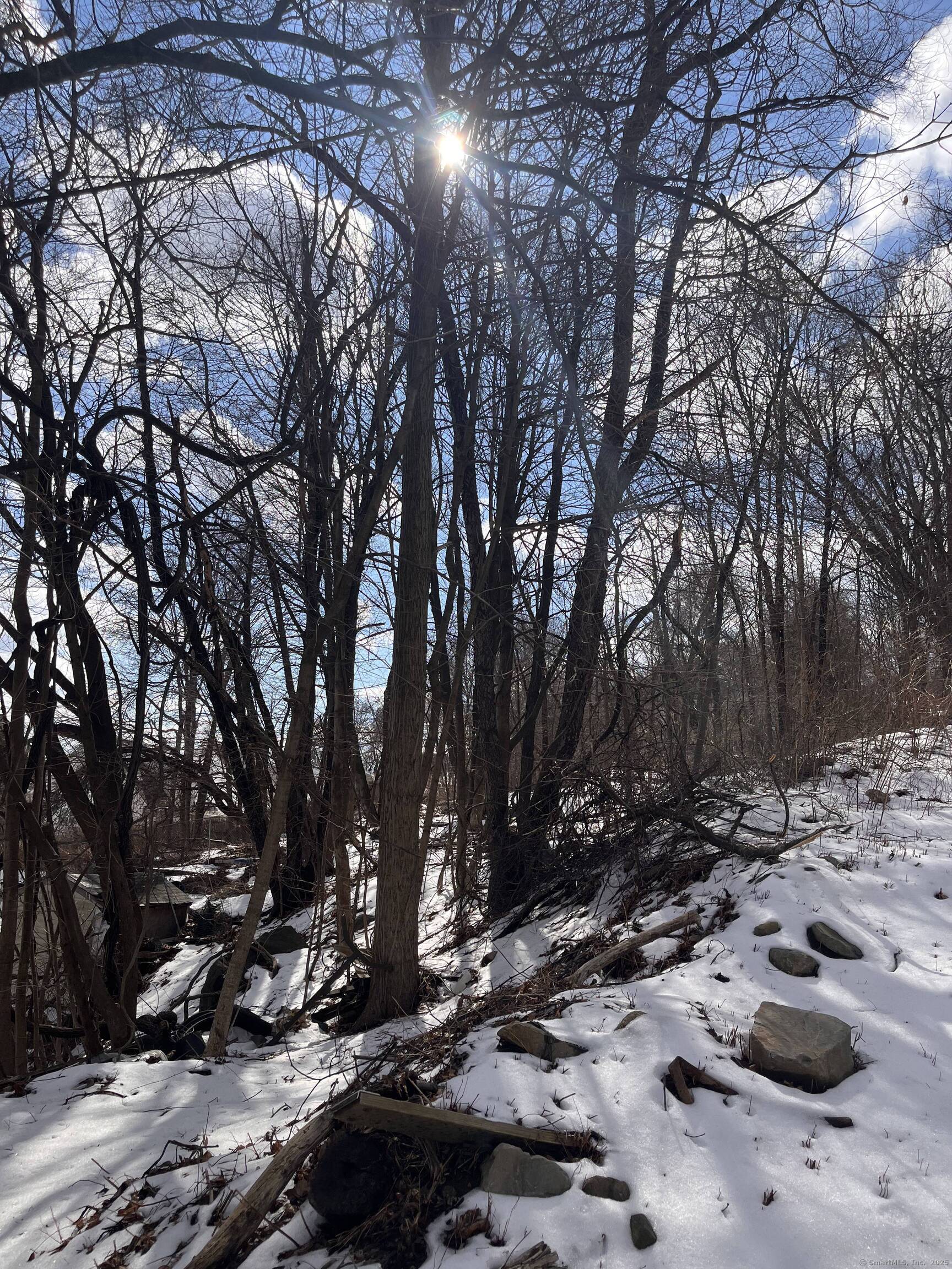 Gardner Street, Waterbury, Connecticut image 2