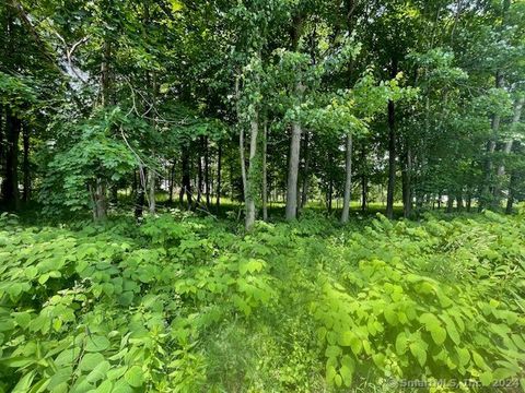 Vacant Land For Sale - 369 Turnpike Road<br/> Somers, CT 06071