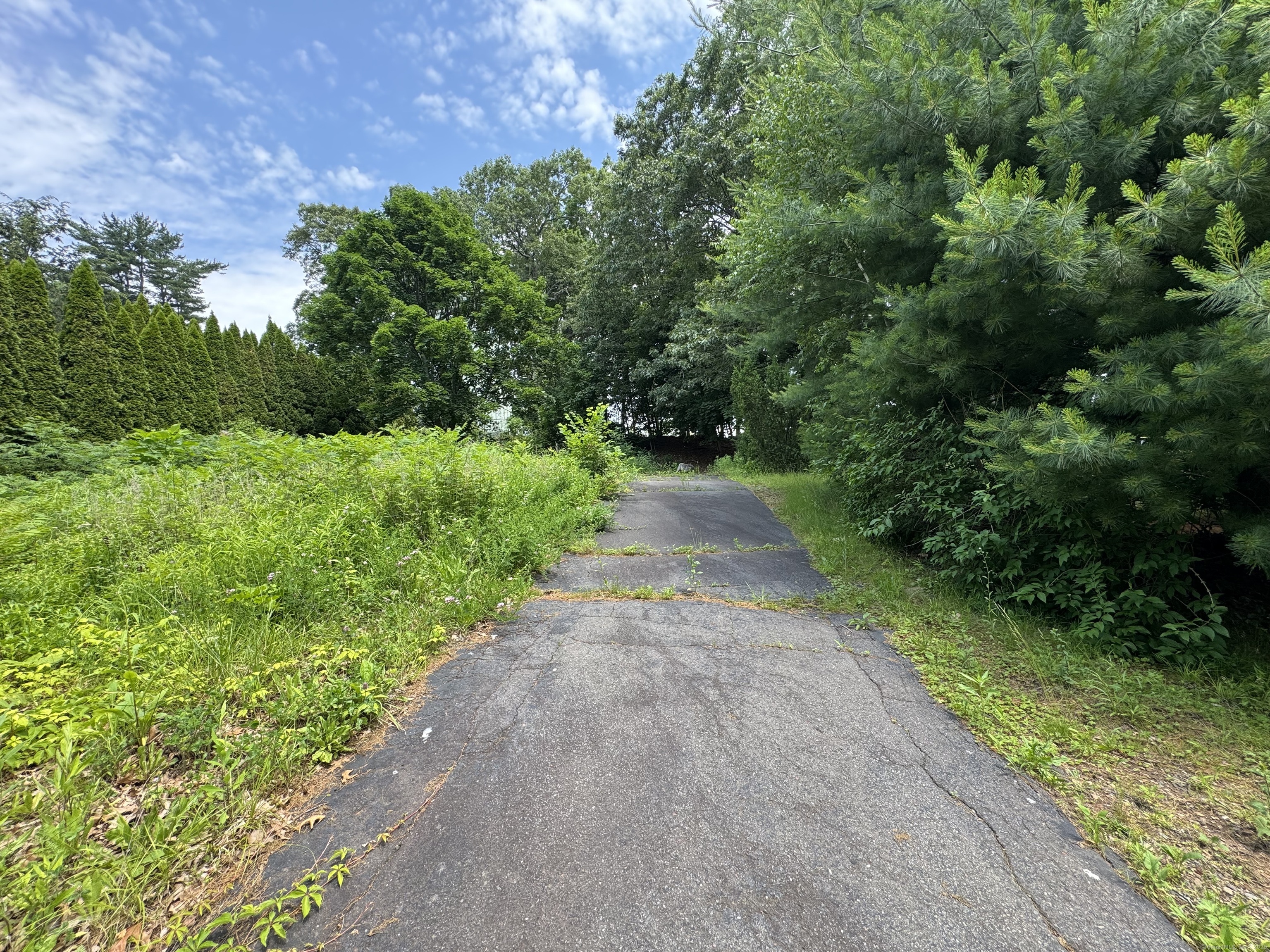 19 Maplehurst Avenue
