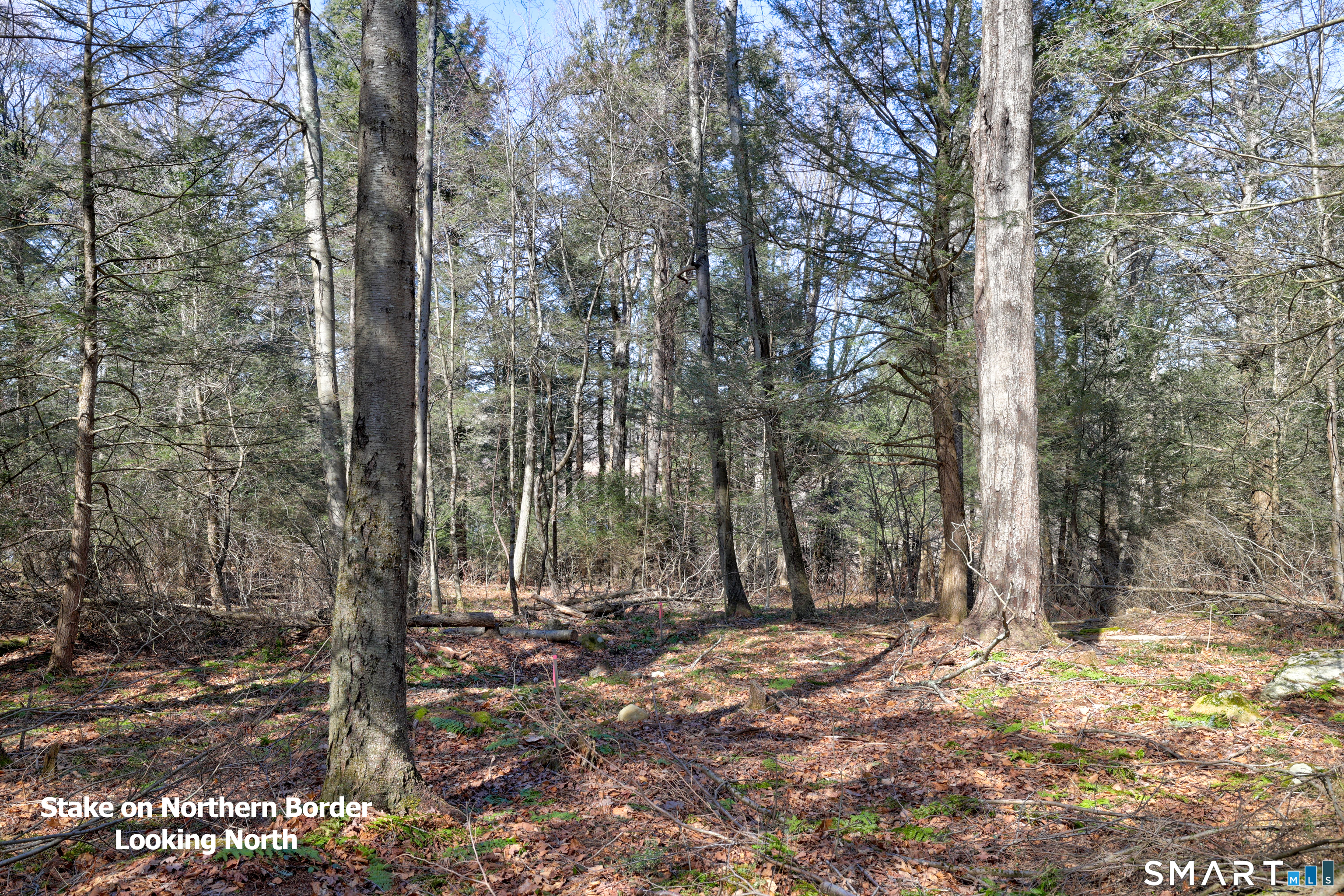 Meadowcrest Drive North