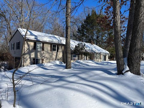 Photo of 41 Cider Mill Road, Ellington, CT 06029 (MLS # 24152207)