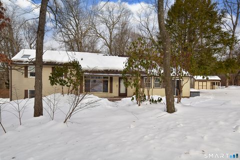 Photo of 41 Cider Mill Road, Ellington, CT 06029 (MLS # 24152207)