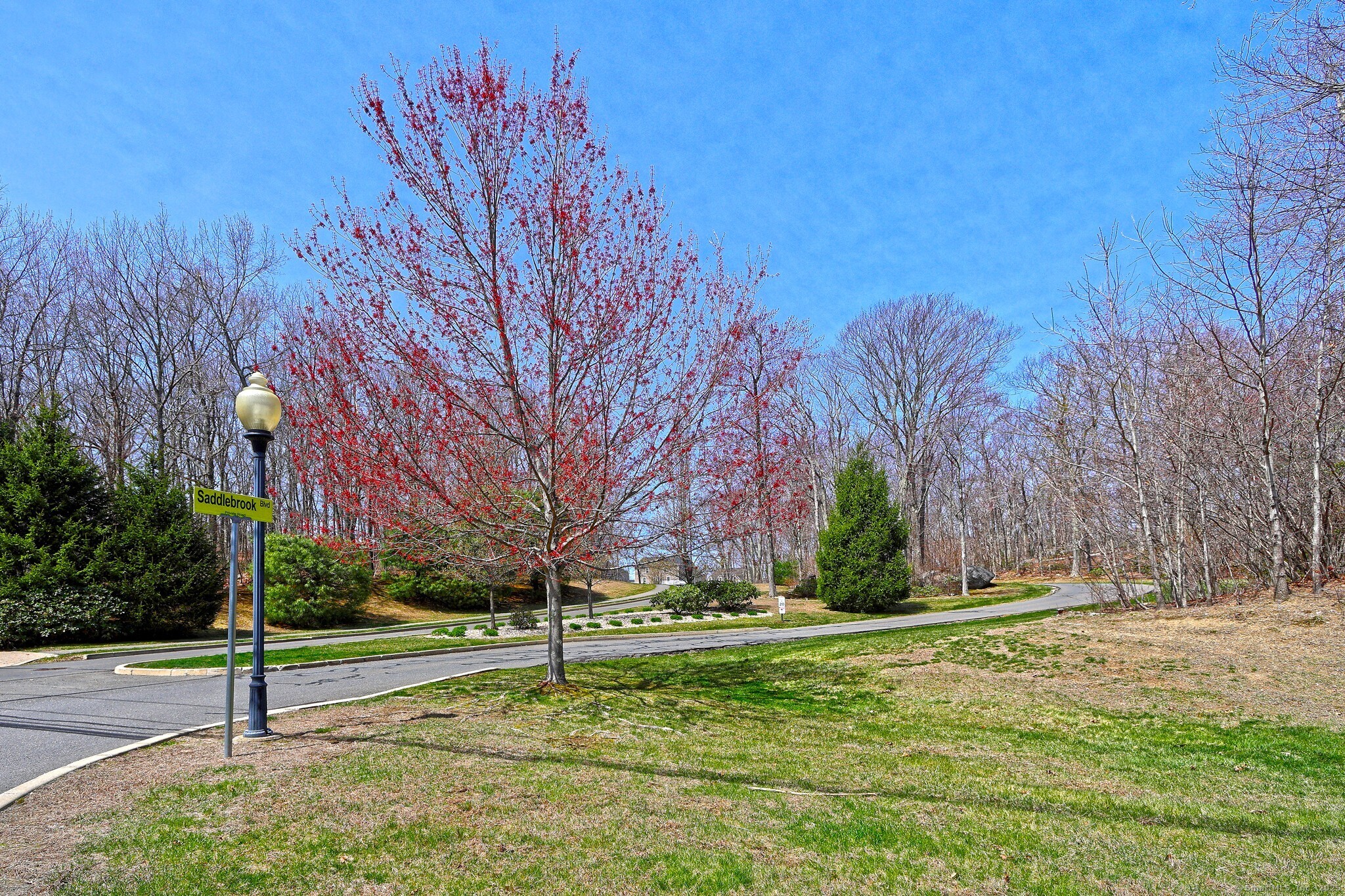 103 Turtlebrook Lane #103, Bristol, Connecticut image 39