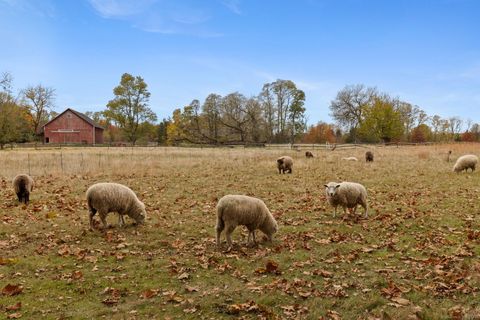 Tiny photo for 47 Ferry Lane, South Windsor, CT 06074 (MLS # 24137091)