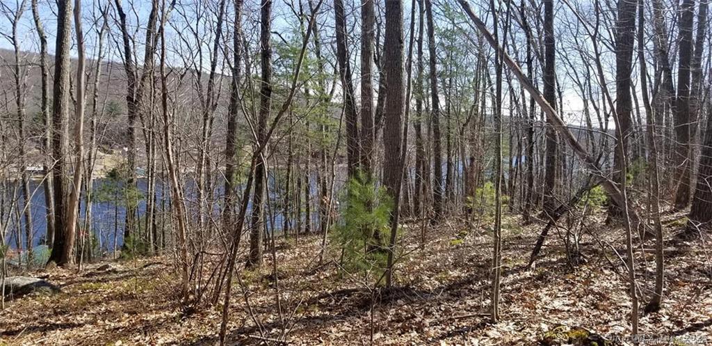 118 Lake Shore Boulevard