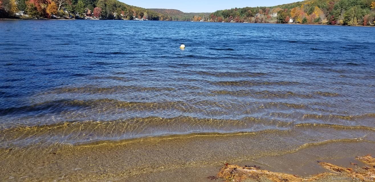 118 Lake Shore Boulevard