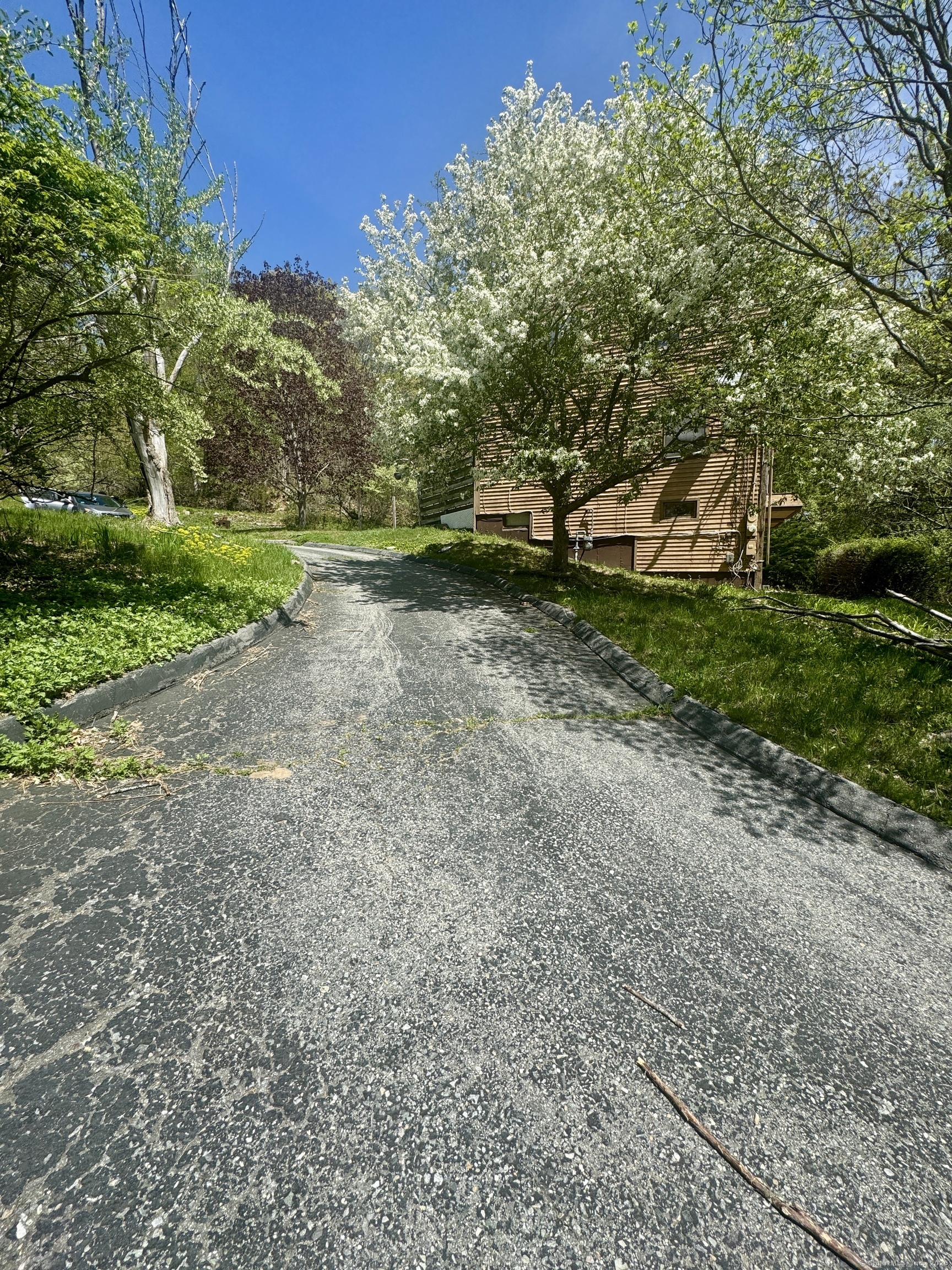 123 Maple Street, Norwich, Connecticut image 4